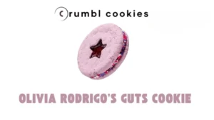 Crumbls Olivia Rodrigo GUTS